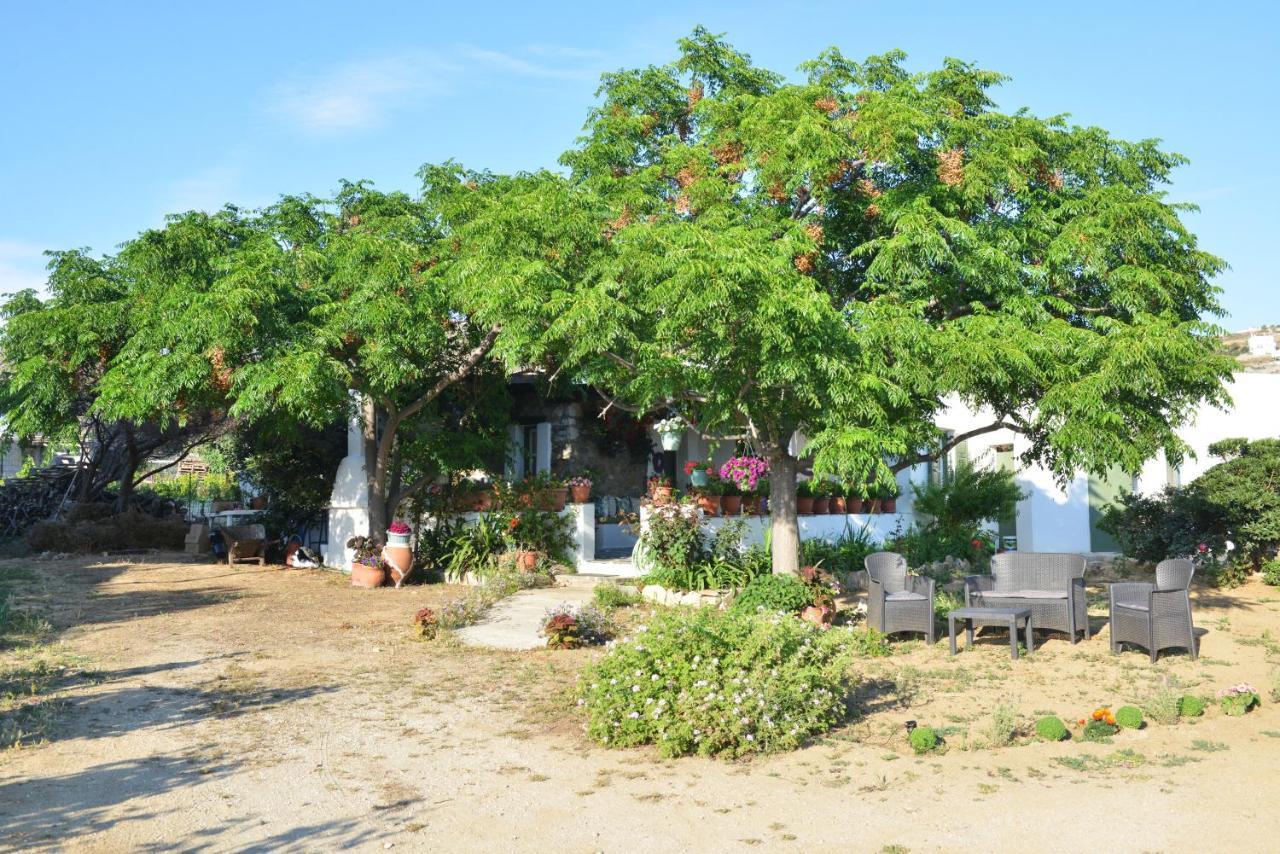 Ktima Dimitrios Villa Naxos City Exteriör bild